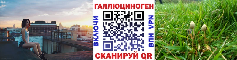 где купить наркоту  Собинка  Псилоцибиновые грибы мухоморы 